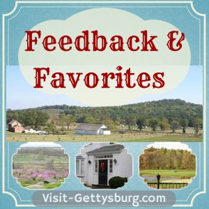 Featured Photo: Feedback and Favorites